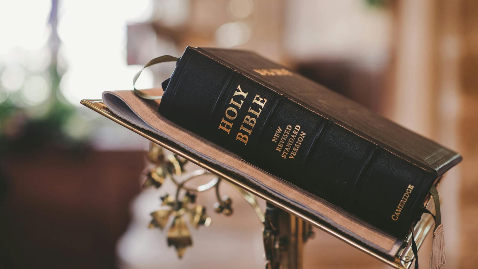 An open Bible with morning light streaming across the pages